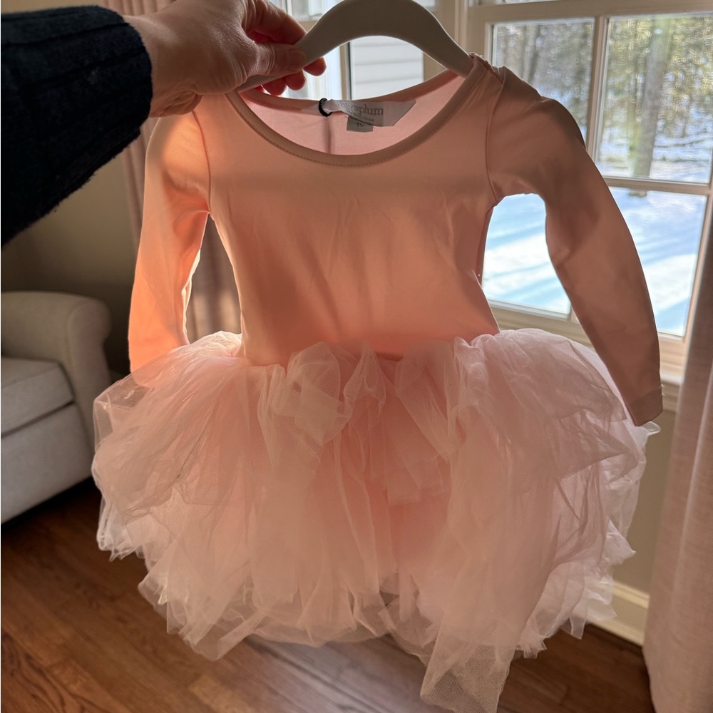 Iloveplum size 1 year tutu dress